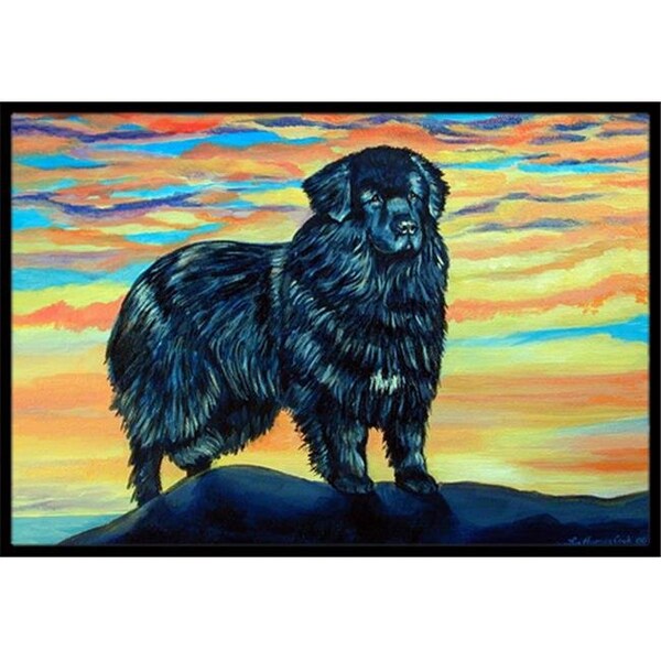 Carolines Treasures 7518MAT 18 x 27 in. Newfoundland Indoor Outdoor Mat 7518MAT - main